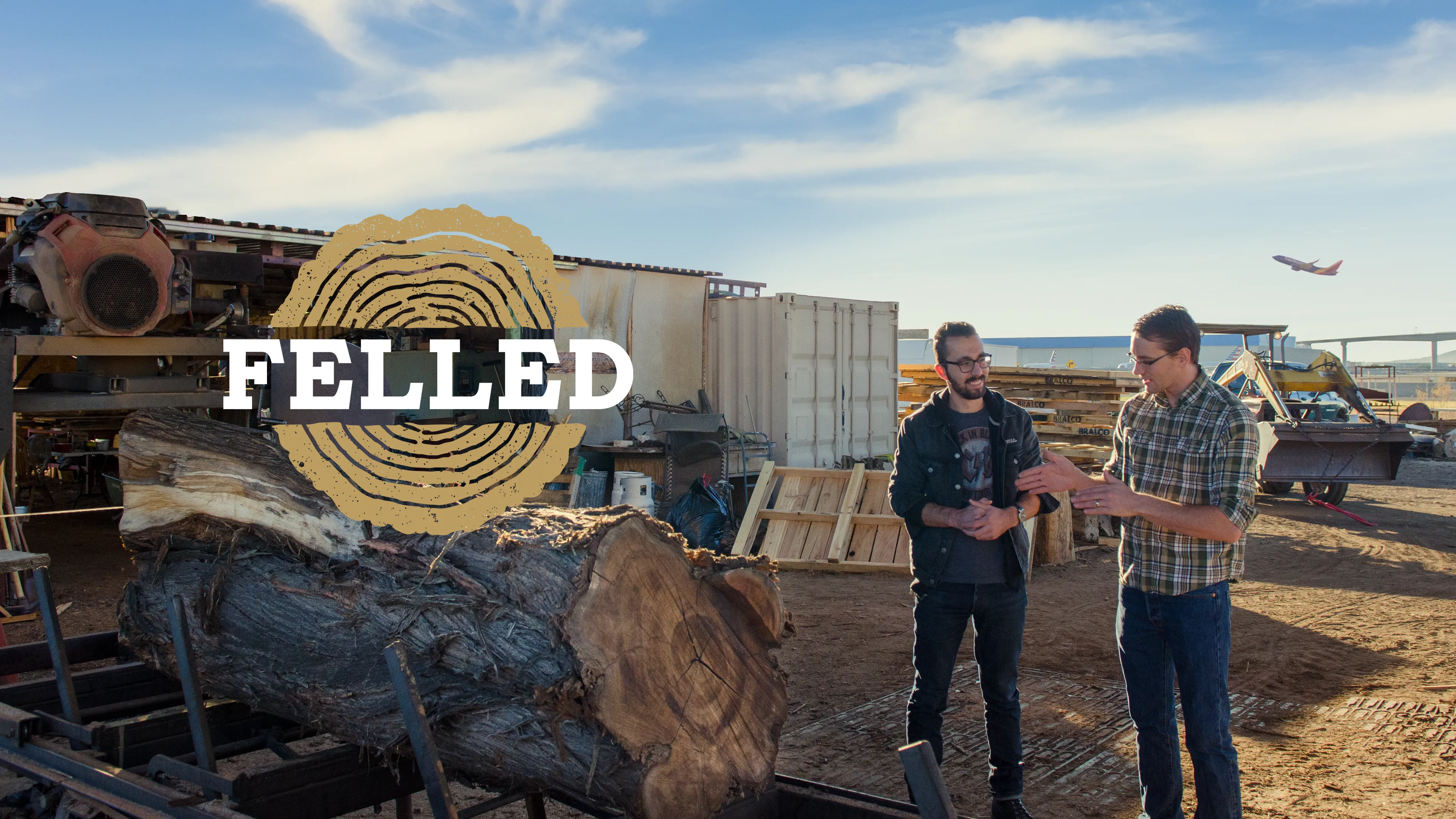 Felled poster